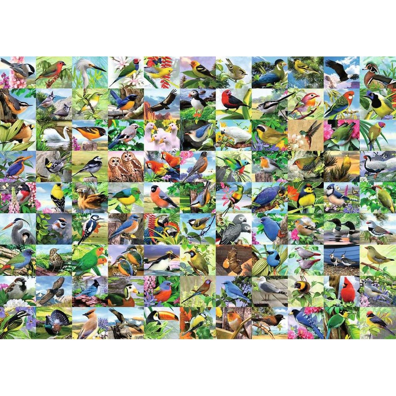 300pc 99 Delightful Birds Large Format