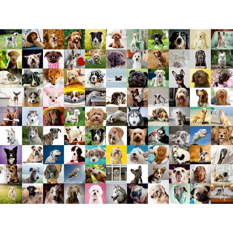 750pc 99 Lovable Dogs Large Format