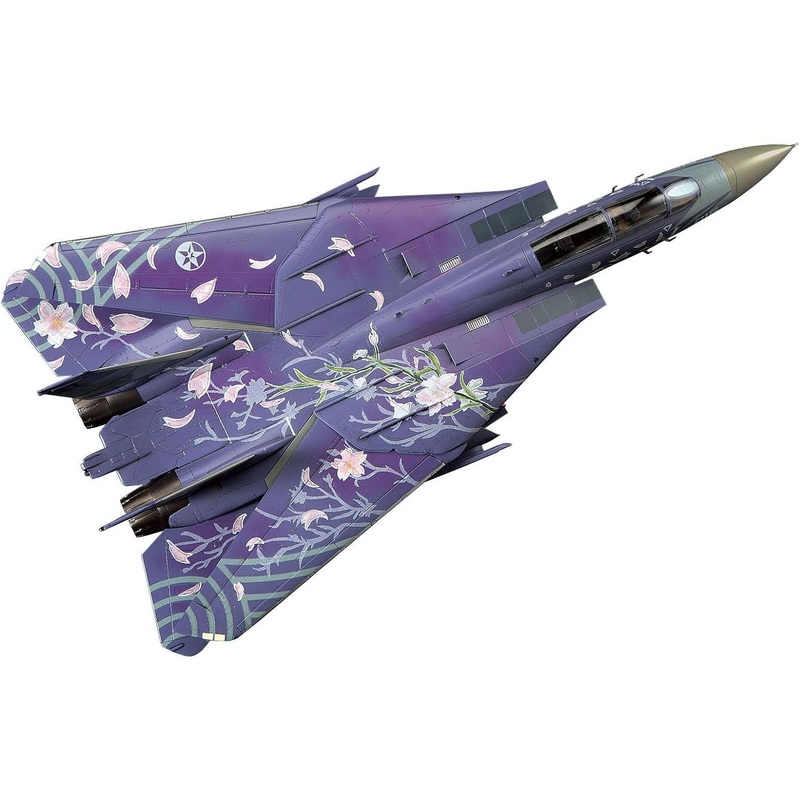 1/72 Ace Combat F-14D Tomcat “Cherry Blossom”