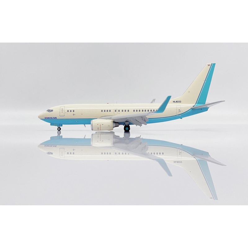 Korean Air B737-700 BBJ HL8222 (Flaps Down)