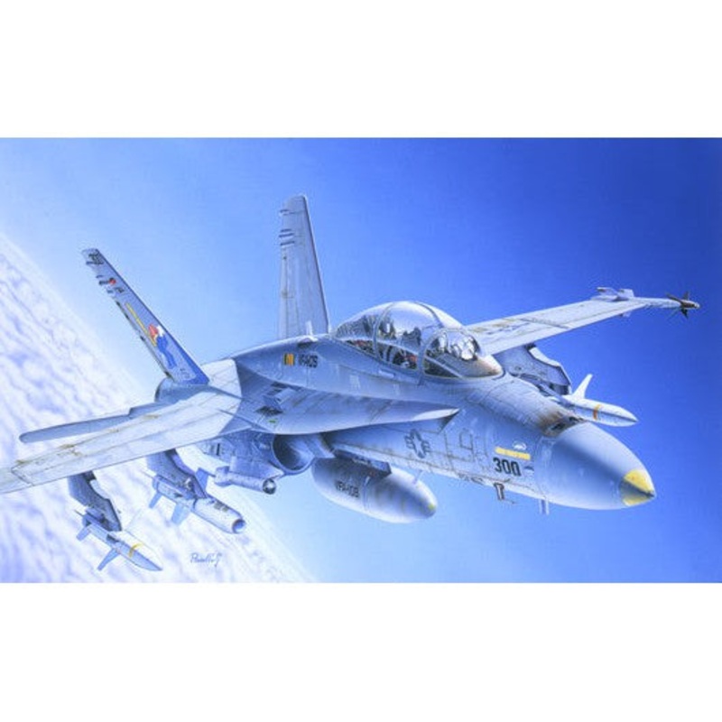 1/72 F/A-18C/D Wild Weasel