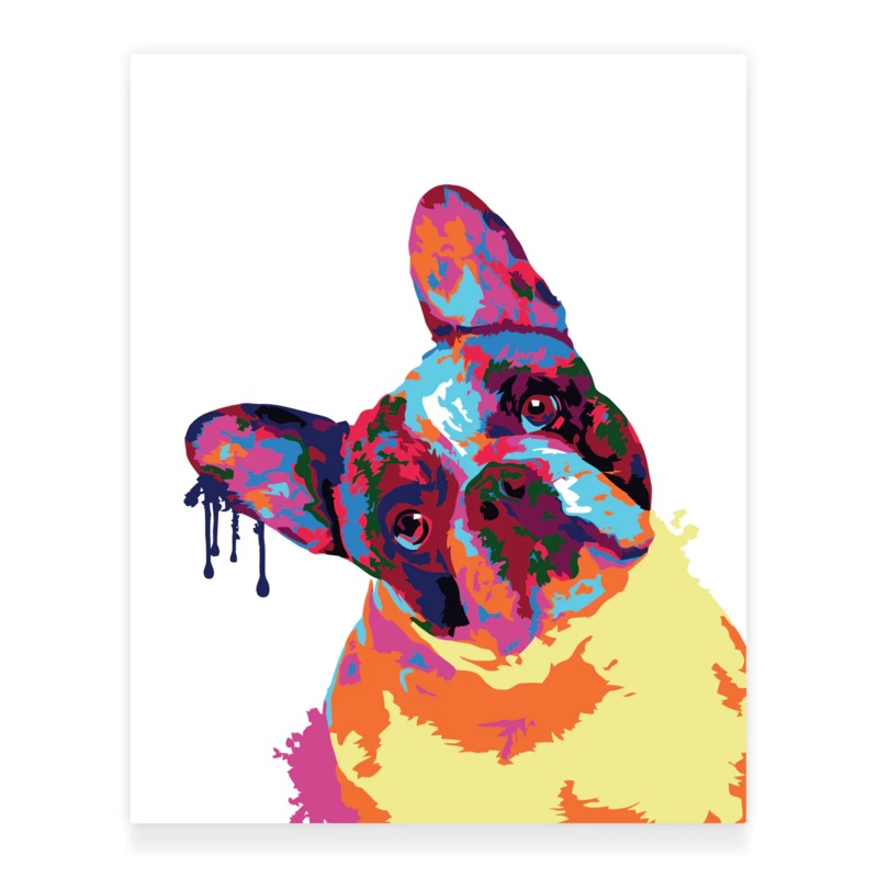 Paint by Numbers Kit: Abstract French Bulldog