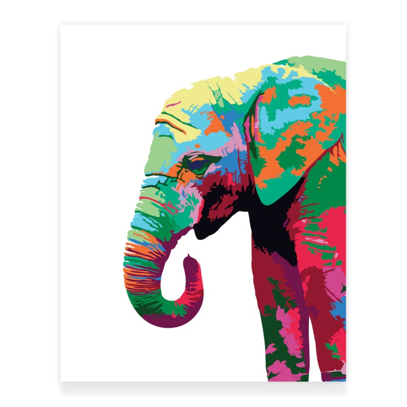 Paint by Numbers Kit: Colourful Elephant