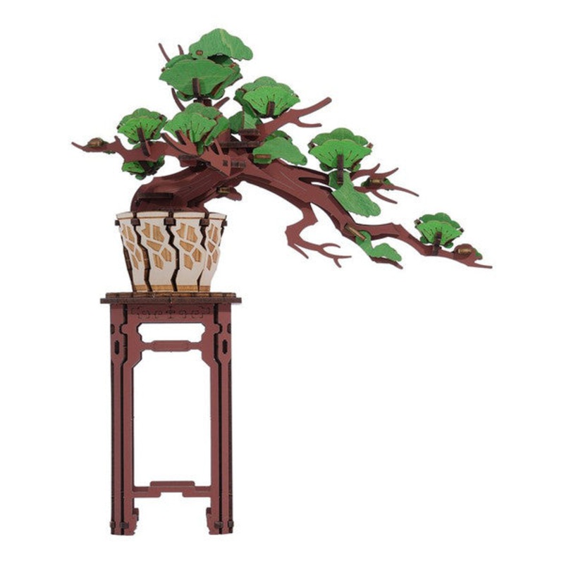 Evergreen Pine Bonsai