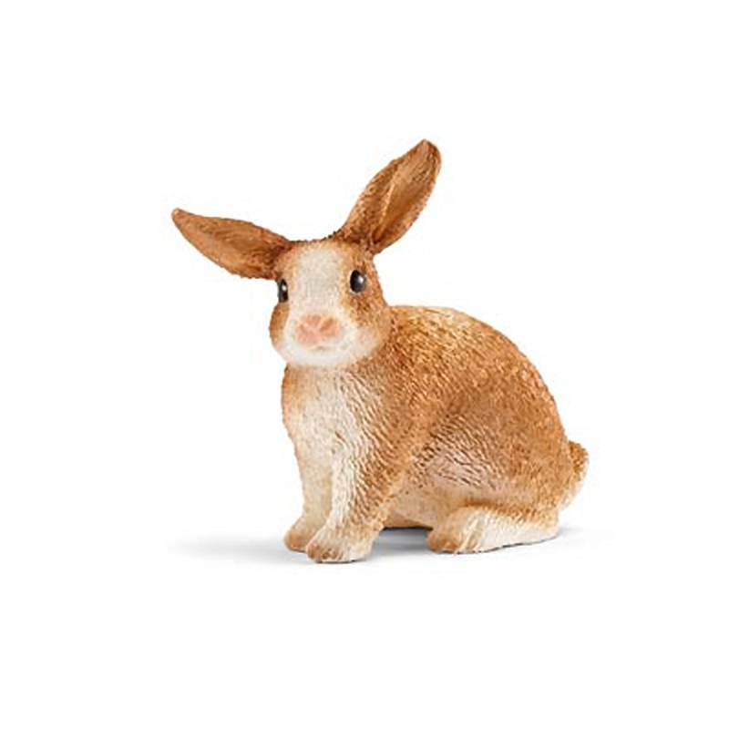 Rabbit