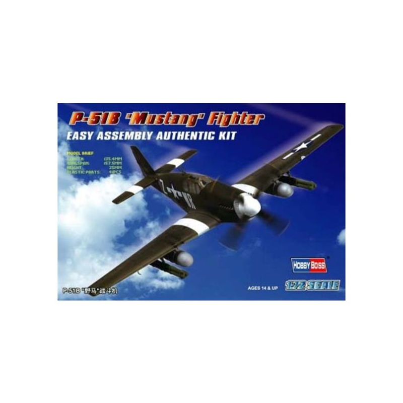 1/72 P-51B “Mustang” Fighter Plastic Model Kit
