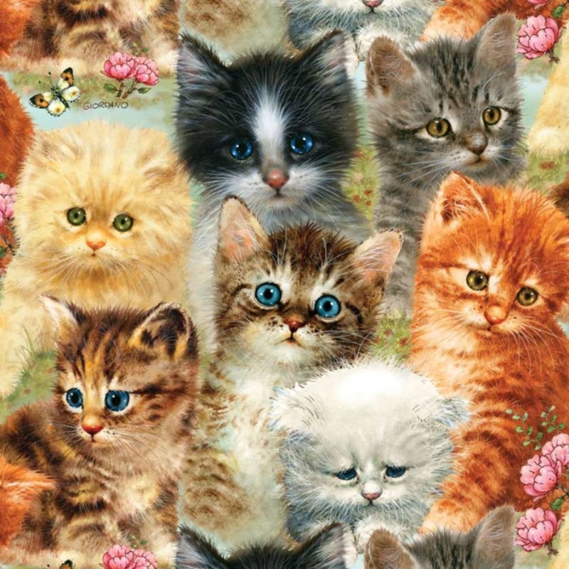 1000pc A Pile of Kittens Puzzle