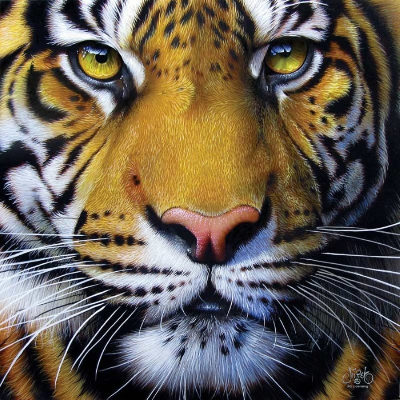 1000pc Golden Tiger Face Puzzle