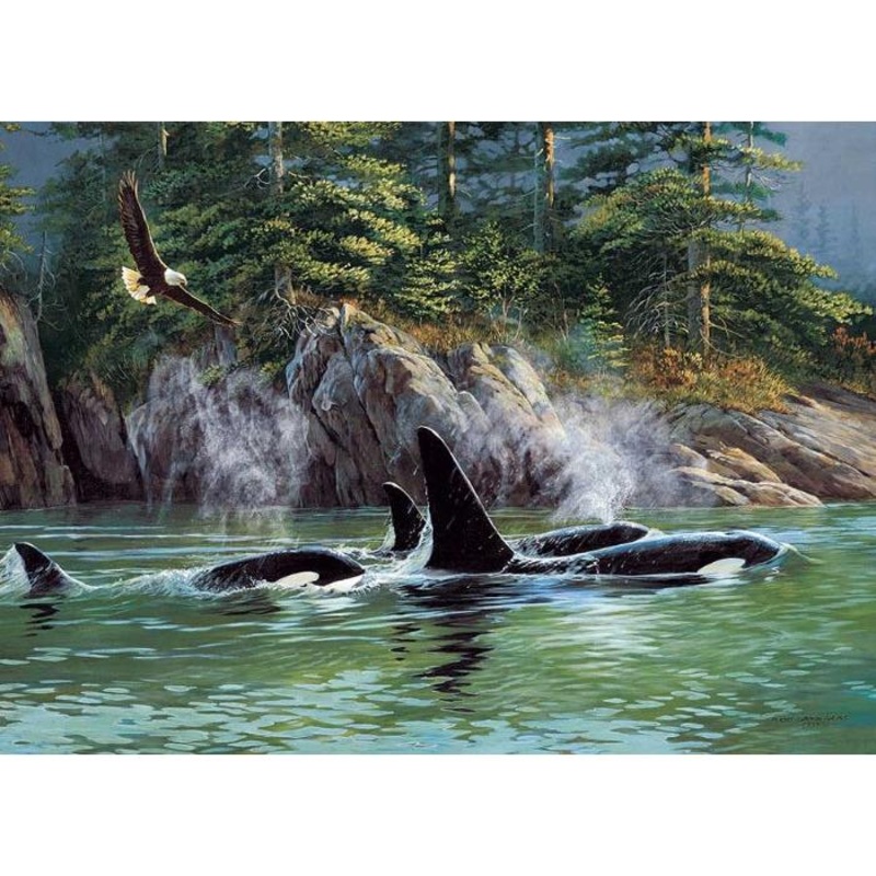 1000pc Orcas Puzzle