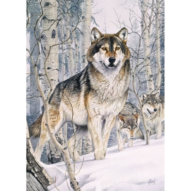 1000pc Second Glance Puzzle