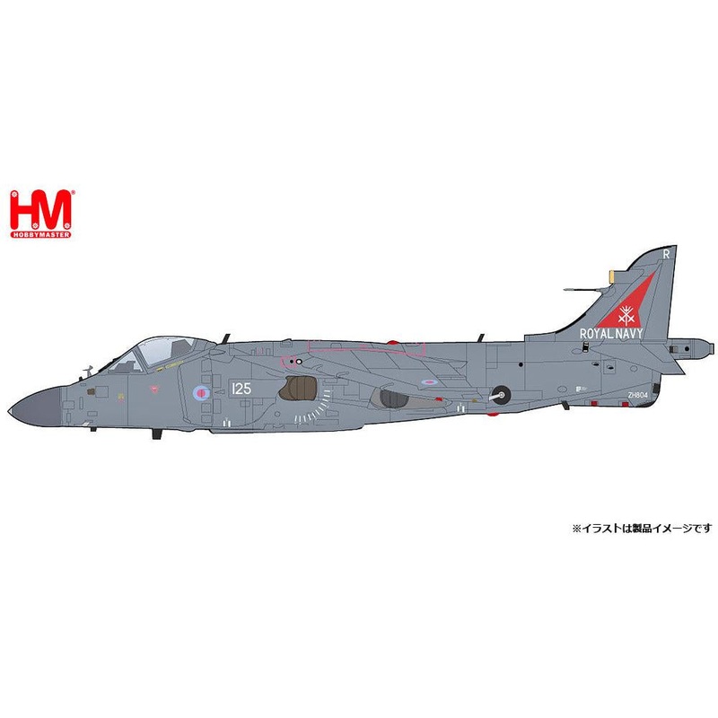 1/72 Sea Harrier FA.2 ZH804 Royal Navy Fairford 2002 (with Sea Eagle Missiles)