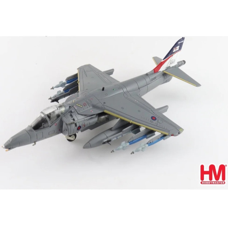 1/72 Harrier GR.9 ZD406 Royal Navy Strike Wing RAF Station Cottesmore 2009