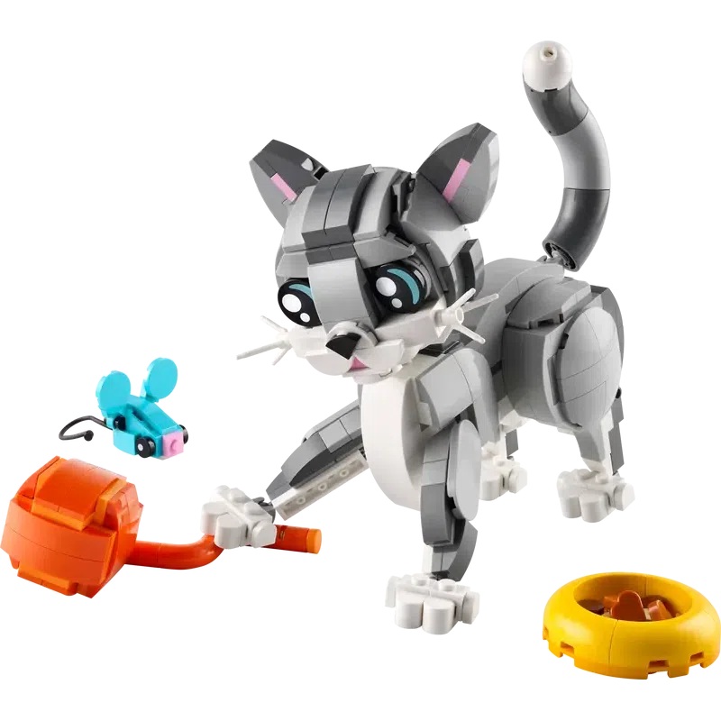 Playful Cat