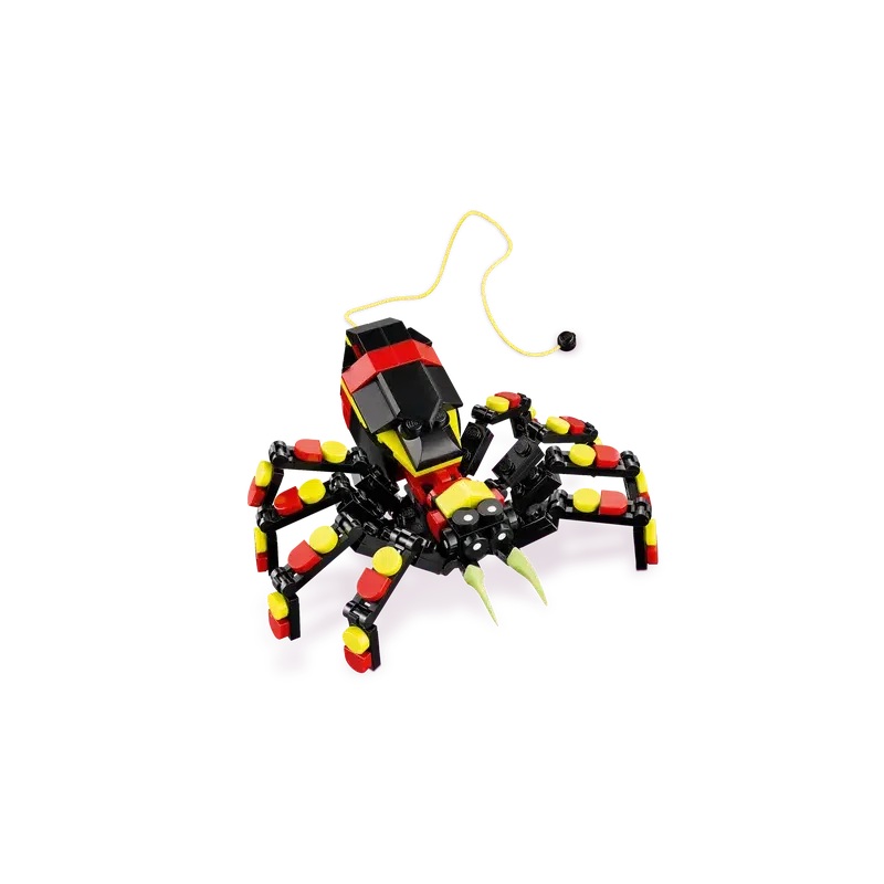 Wild Animal: Surprising Spider