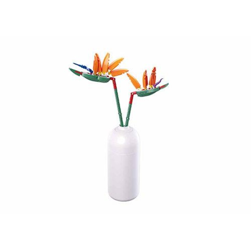 148pc Strelitzia Reginae with DIY Vase