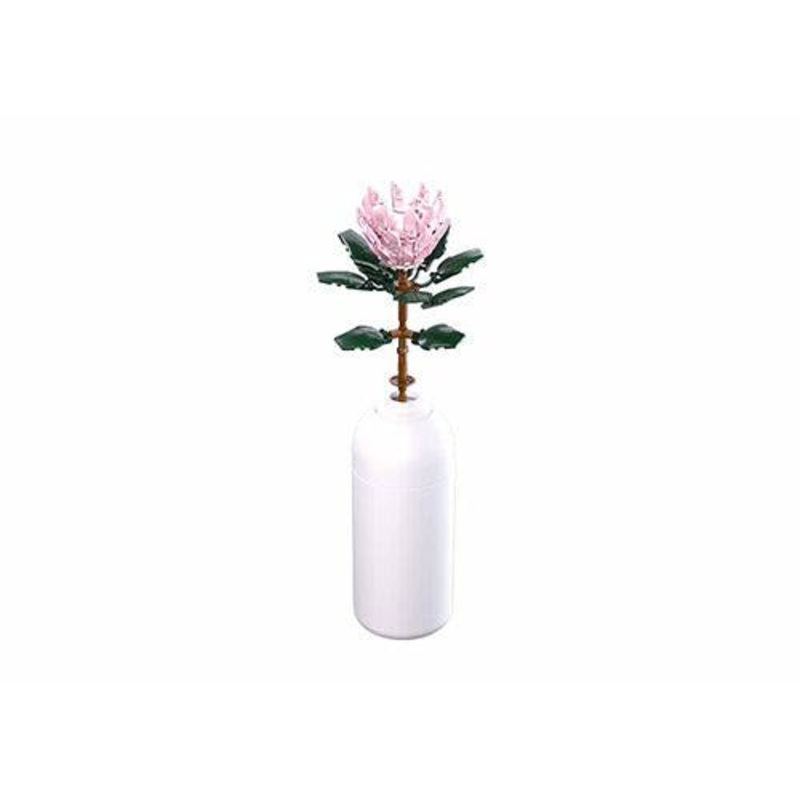 258pc Protea Cynaroides with DIY Vase