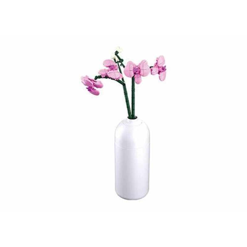 261pc Butterfly Orchid with DIY Vase