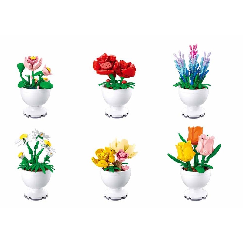 Potted Plants Life Flowers