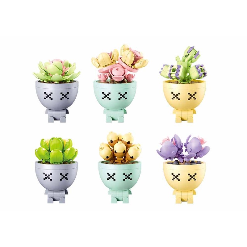 Potted Plants Succulent