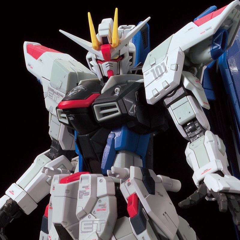 [Limited] RG 1/144 The Gundam Base Limited Zgmf-X10A Freedom Gundam Ver.Gcp