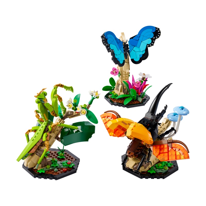 The Insect Collection