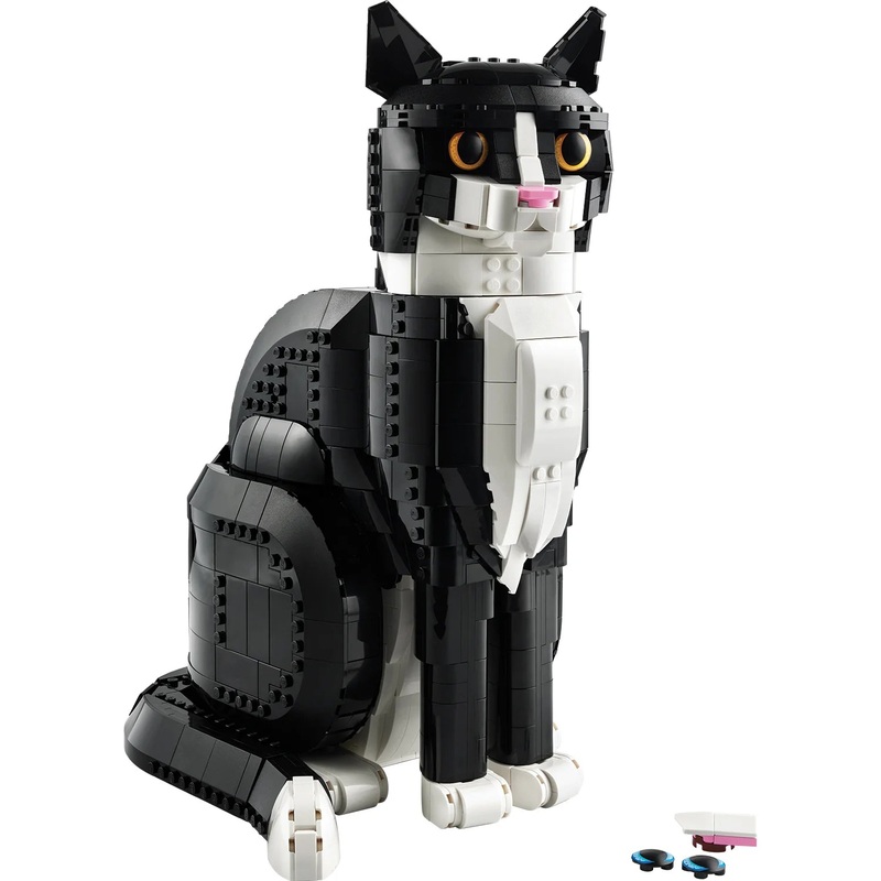 Tuxedo Cat