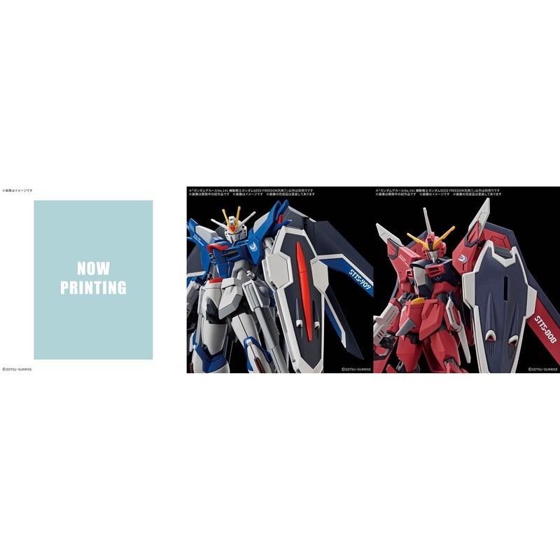 Gundam Decal141 Mobile Suit Gundam Seed Freedom Multiuse 1