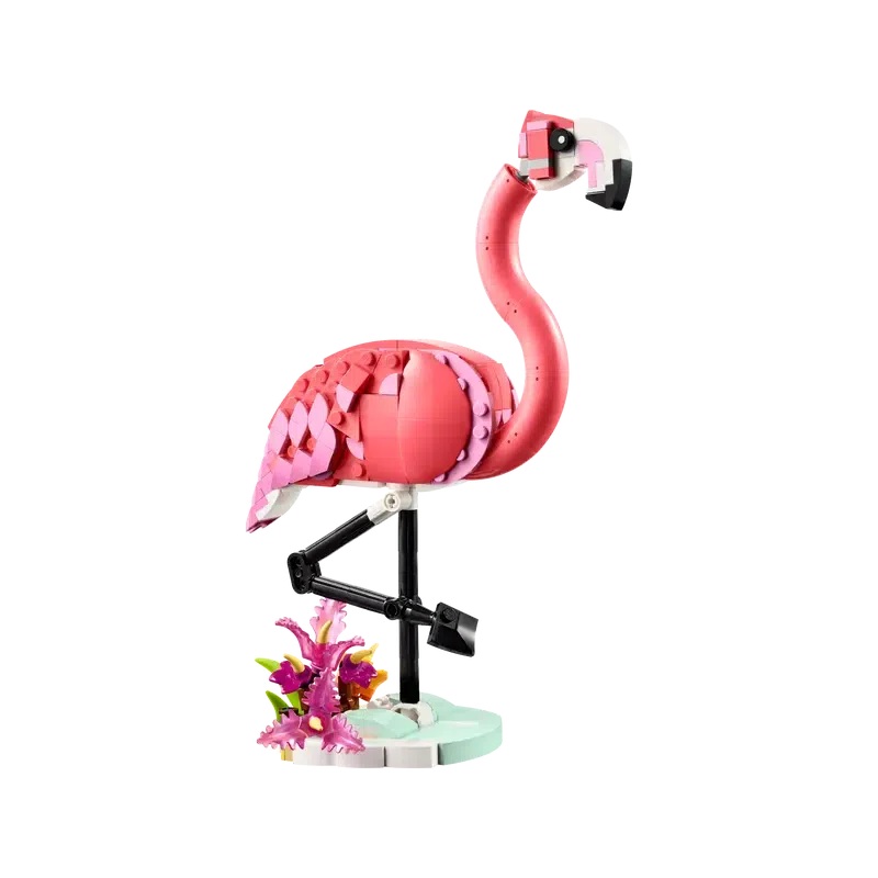 Wild Animal: Pink Flamingo