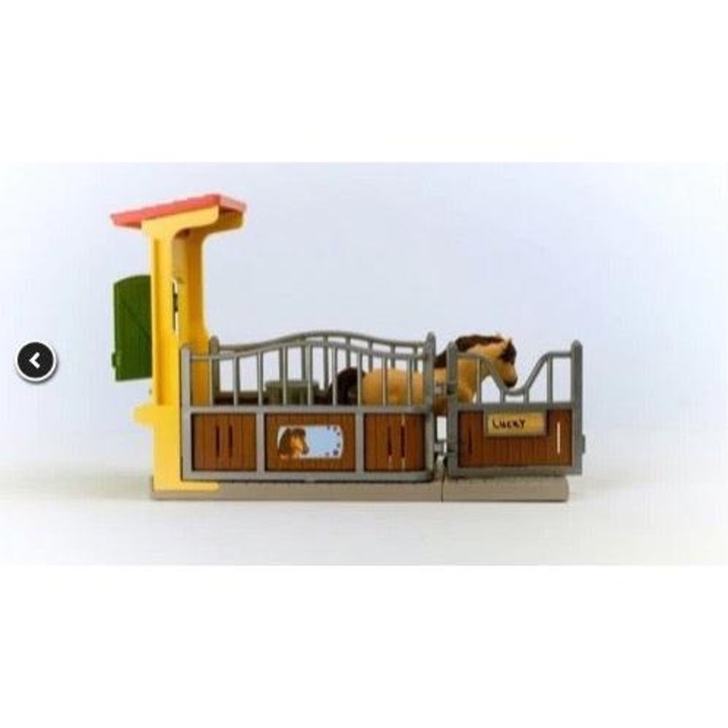 Pony Box with Iceland Pony Stallion