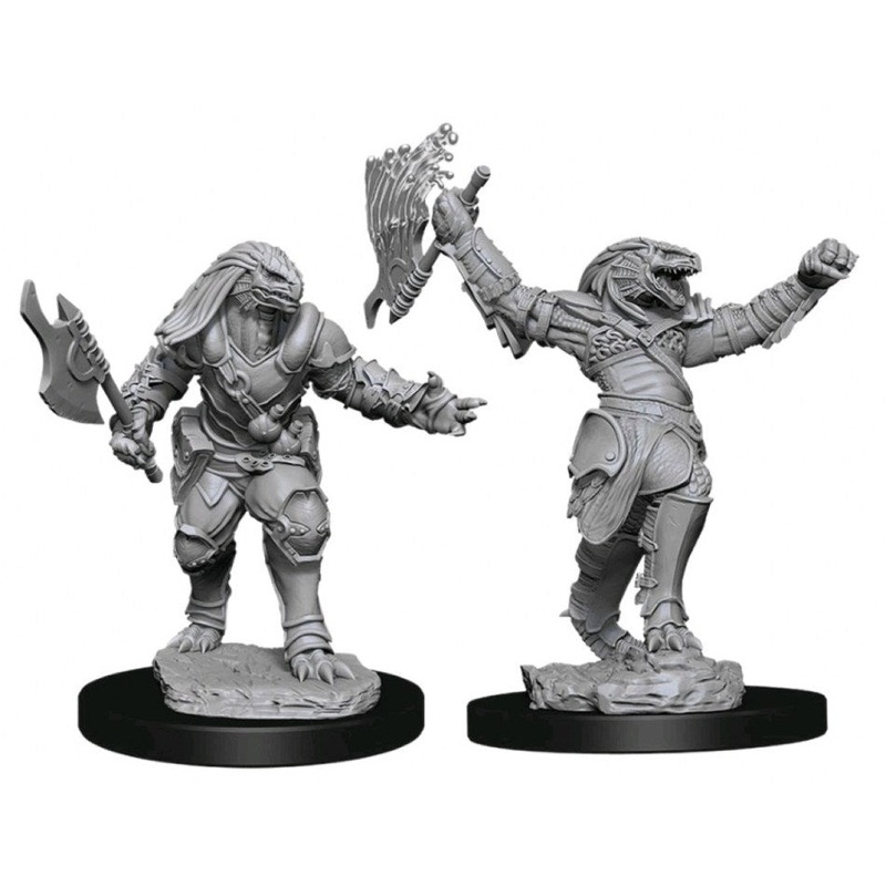 D&D Nolzurs Marvelous Unpainted Miniatures: Female Dragonborn Fighter