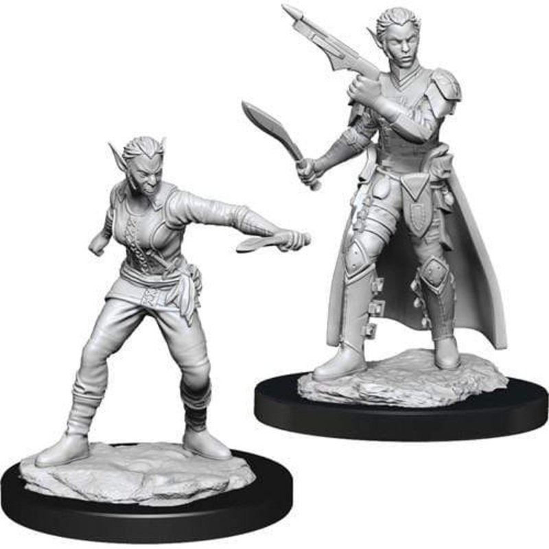 D&D Nolzurs Marvelous Unpainted Miniatures: Shifter Female Rogue