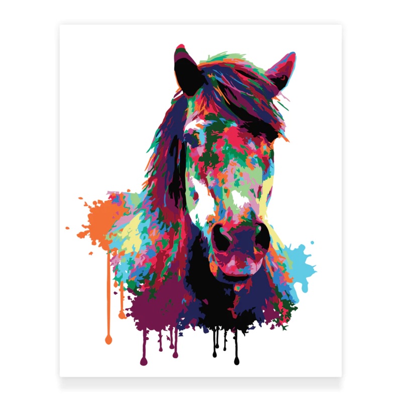 Premium Paint by Numbers Kit – Horse Abstract Style Splash Art