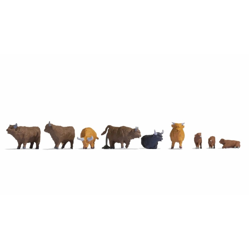 HO Highland Cattle