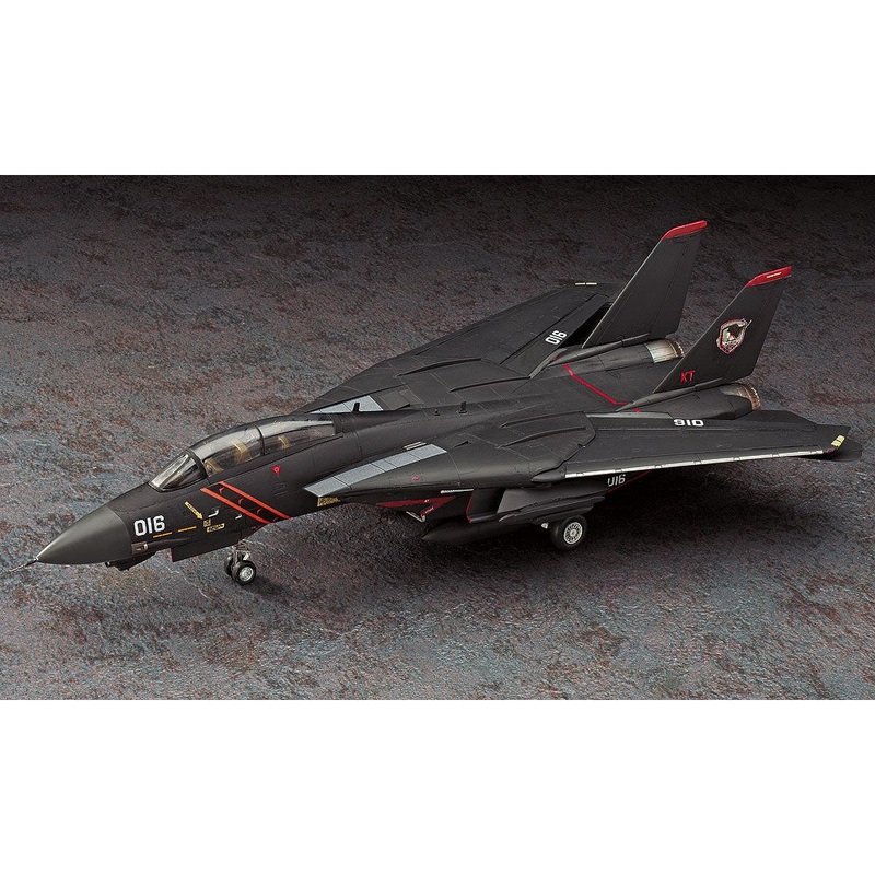 1/72 F-14A Tomcat ‘Ace Combat Razgriz’