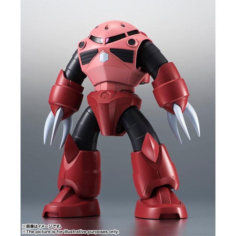 The Robot Spirits  MSM07S Z’Gok Char’s Custom Model Ver. A.N.I.M.E.