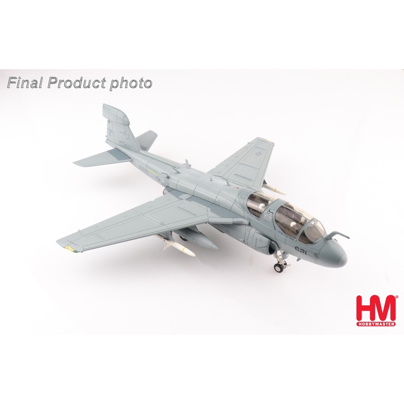 EA6B Prowler Eve of Destruction 163527 VAQ141 Shadowhawks Operation Desert Storm 1991
