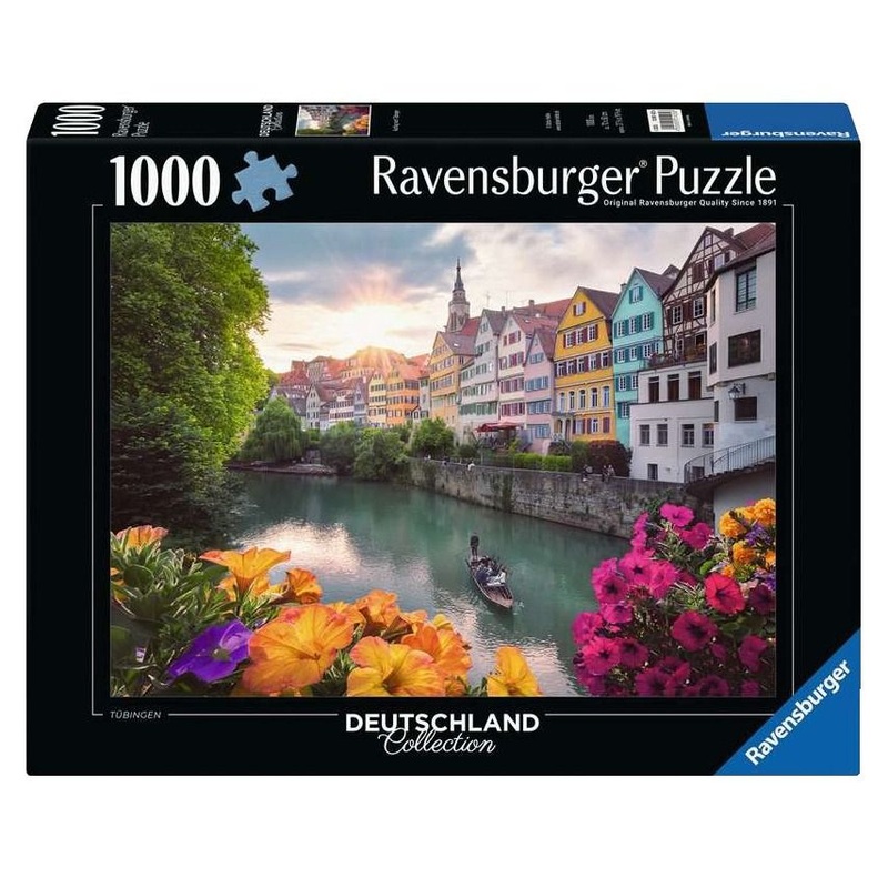 1000pc WT: Tbingen Puzzle